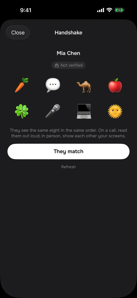 Handshake — eight emoji both phones show, so you know it is really them